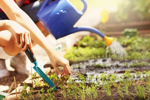 Customer complaint review for garden maintenance service