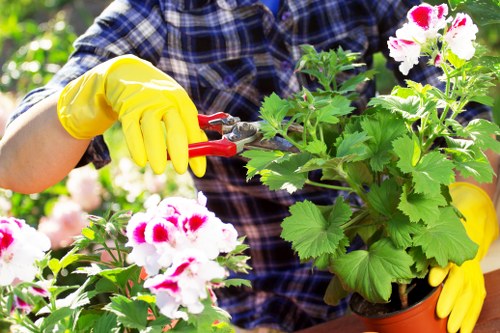 Gardeners Deptford caring for a local residential garden