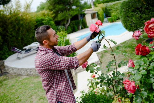 Gardeners Deptford pricing explained with transparent quotes