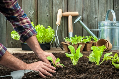 Illustration representing accessible gardening services in Deptford