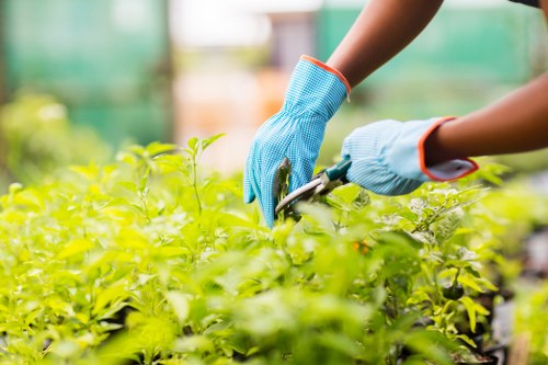 Seasonal planting and garden upkeep in Deptford