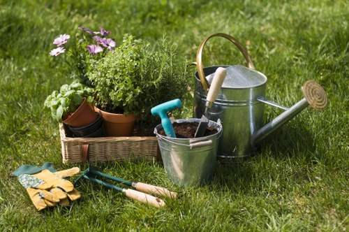 Professional garden maintenance in a Deptford outdoor space