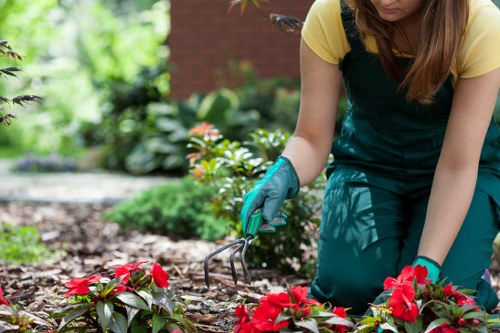 Charity donation of reusable garden items in Deptford