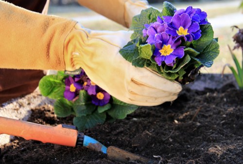 Image representing marketing cookies for local gardening content