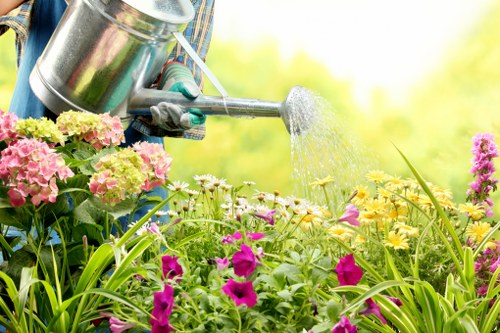Responsible recycling and sustainability work for Deptford gardens
