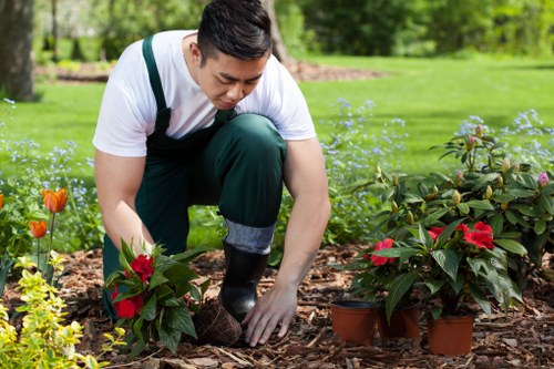 Low-maintenance landscape gardening in Deptford with elegant finishes