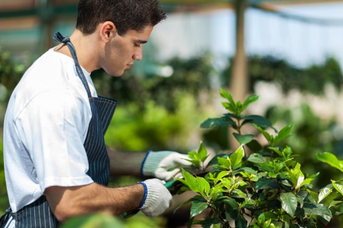 Safe handling of tools and garden materials during routine work