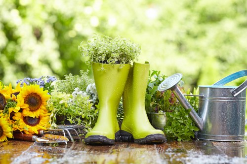 Tree felling and stump grinding service in Deptford