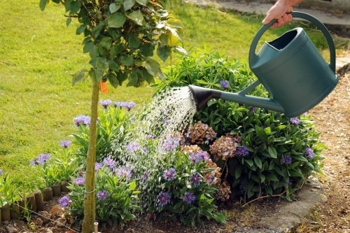 Example garden clearance jobs for Deptford homes and streets