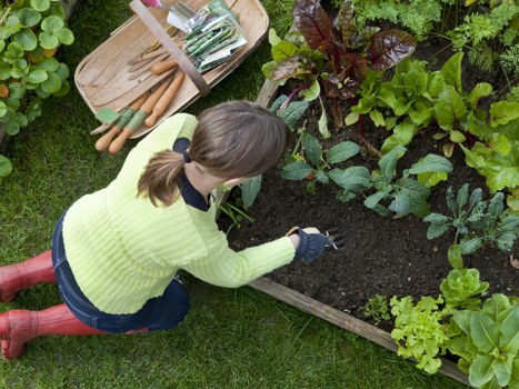 Deptford garden landscaping featuring raised beds and patio area