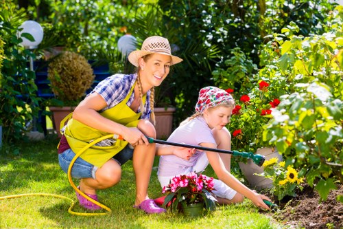 Professional lawn care in Deptford with fertilising and weed control work