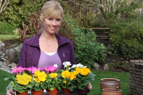 Local gardening care for a Deptford property garden