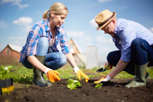 Professional Gardeners Deptford maintaining plants and lawn