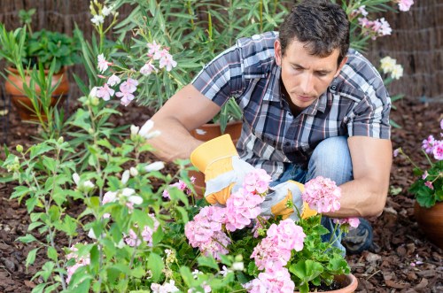 Deptford gardeners maintaining tidy borders and lawn areas