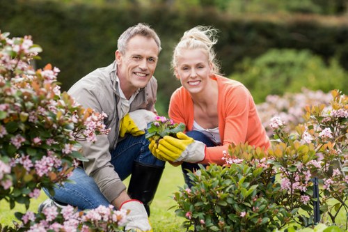 Professional patio cleaning removing grime and algae in Deptford