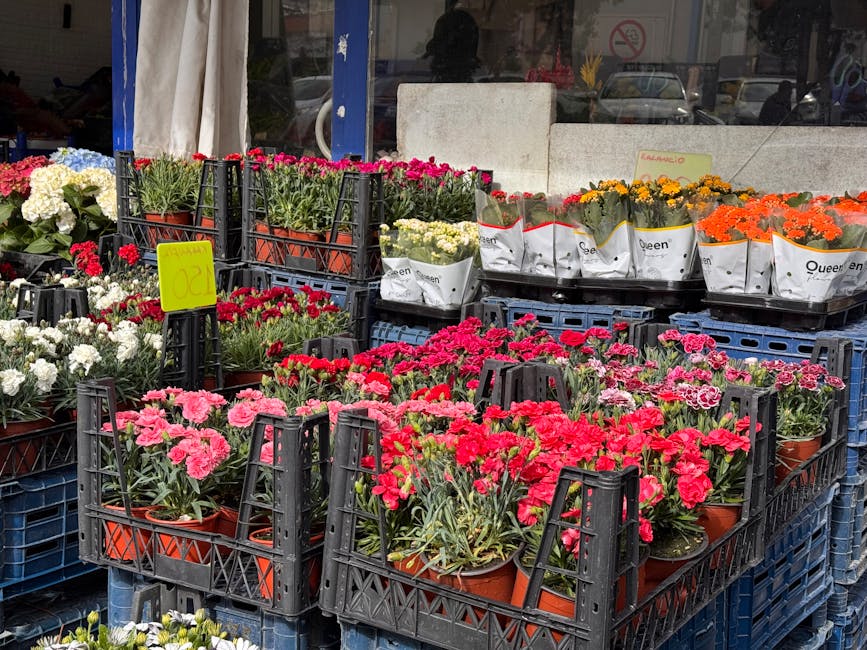 Affordable gardeners near Deptford Market Yard