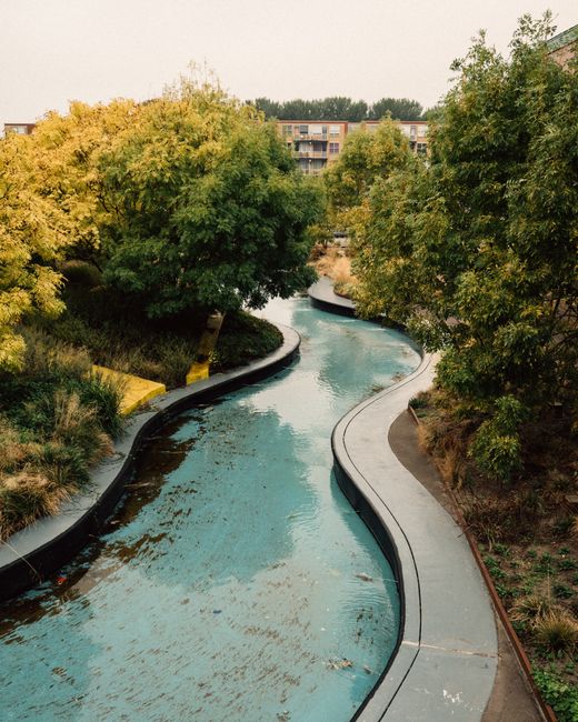 A narrow, winding water feature in a landscaped garden area, flanked by concrete pathways on both sides. The water appears calm with a slight ripple, reflecting the surrounding greenery. On the left s